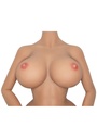 SRC:https://cdn.shopify.com/s/files/1/0928/8738/4393/files/16902_SKIN_07.jpg?v=1761754153