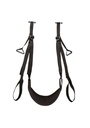 Nocturnal Sex Swing