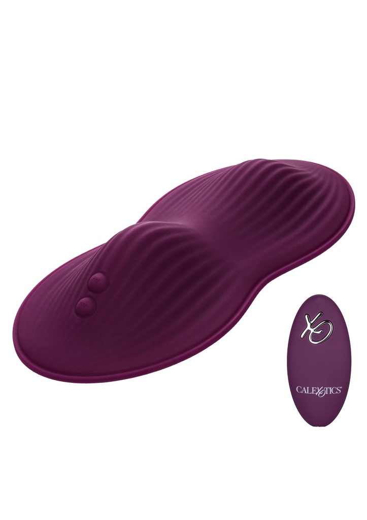 [12006-PURPLE] Remote Control Dual Rider
