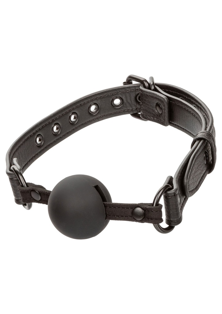 [11931-BLACK] Nocturnal Ball Gag