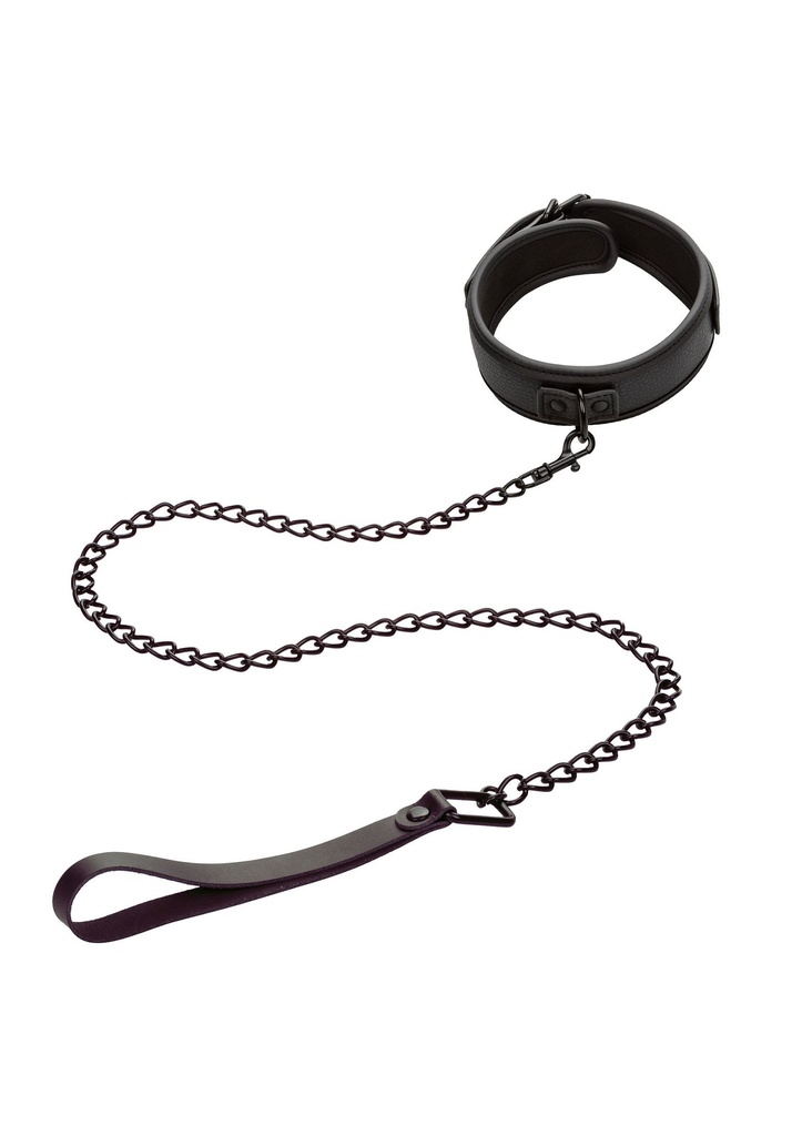 [11932-BLACK] Nocturnal Collar & Leash