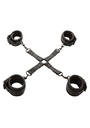 Nocturnal Hog Tie