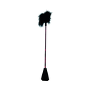 CalExotics Scandal Feather Crop