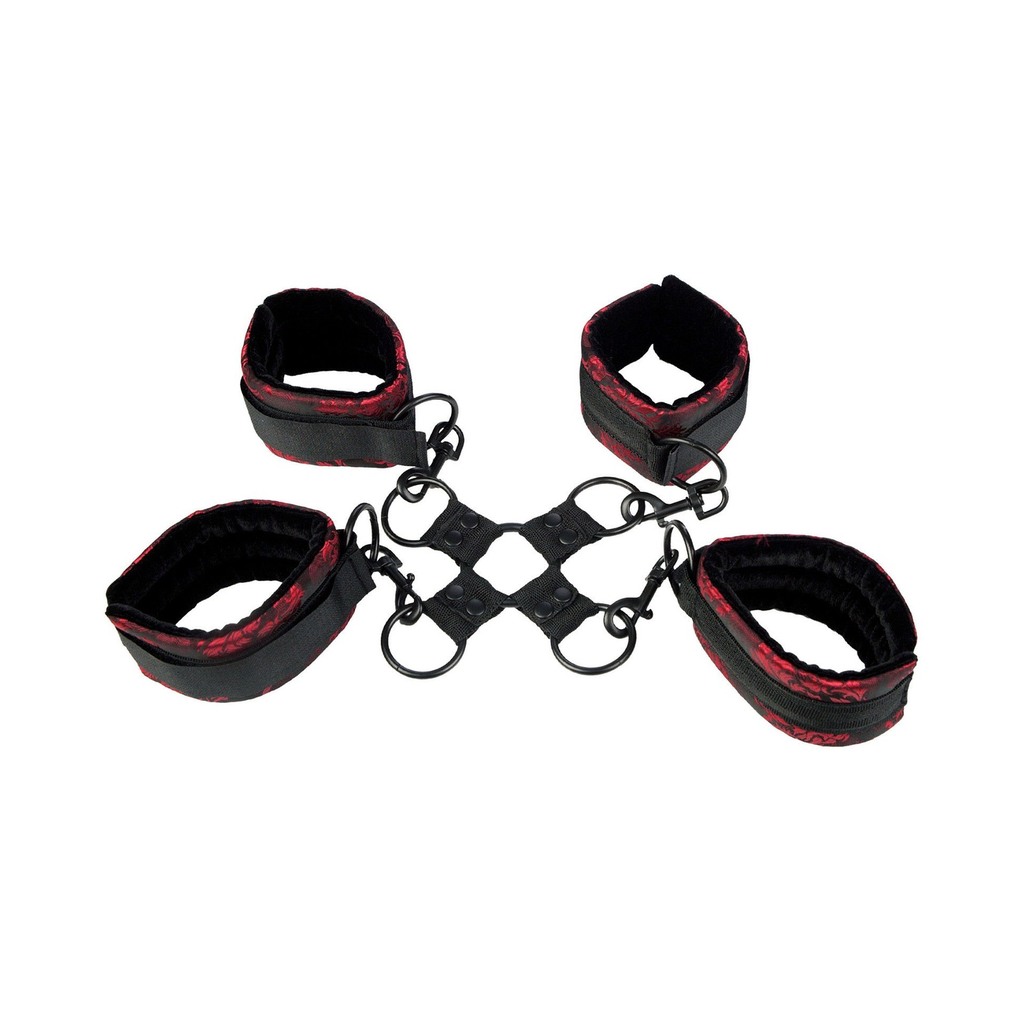 [13010-BLACK] CalExotics Scandal Hog Tie