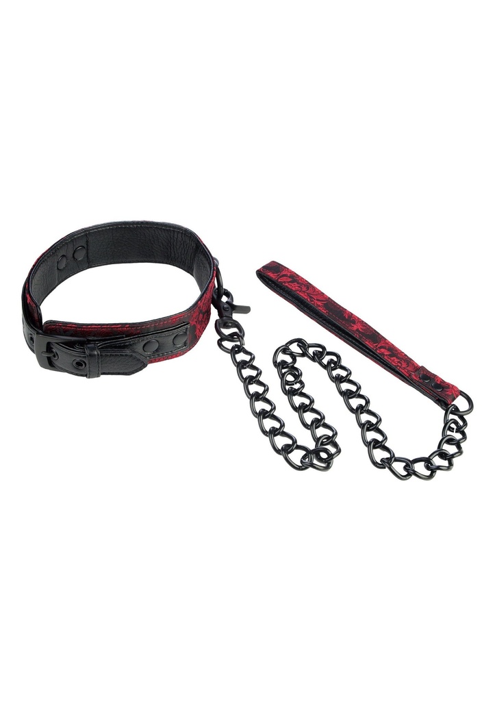 [13012-BLACK] Scandal Collar with Leash
