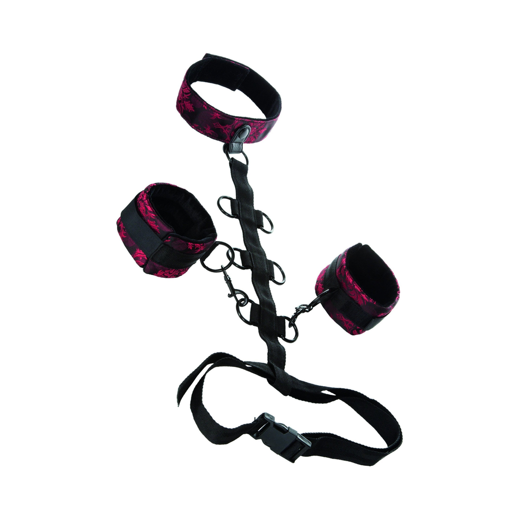 CalExotics Scandal Collar Body Restraint