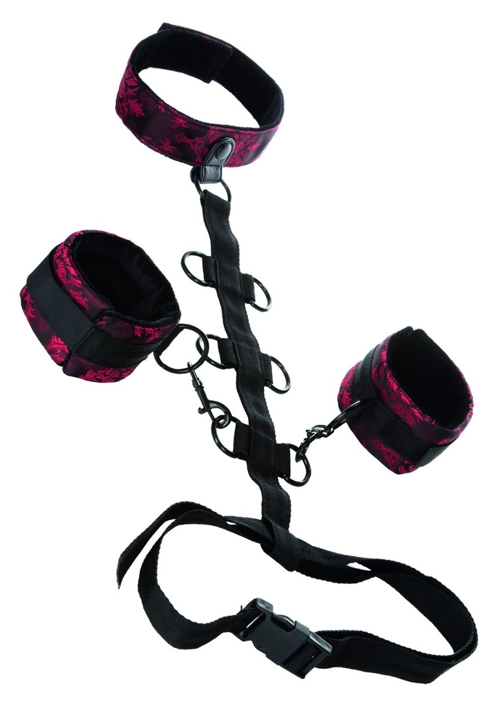[13024-BLACK] Scandal Collar Body Restraint