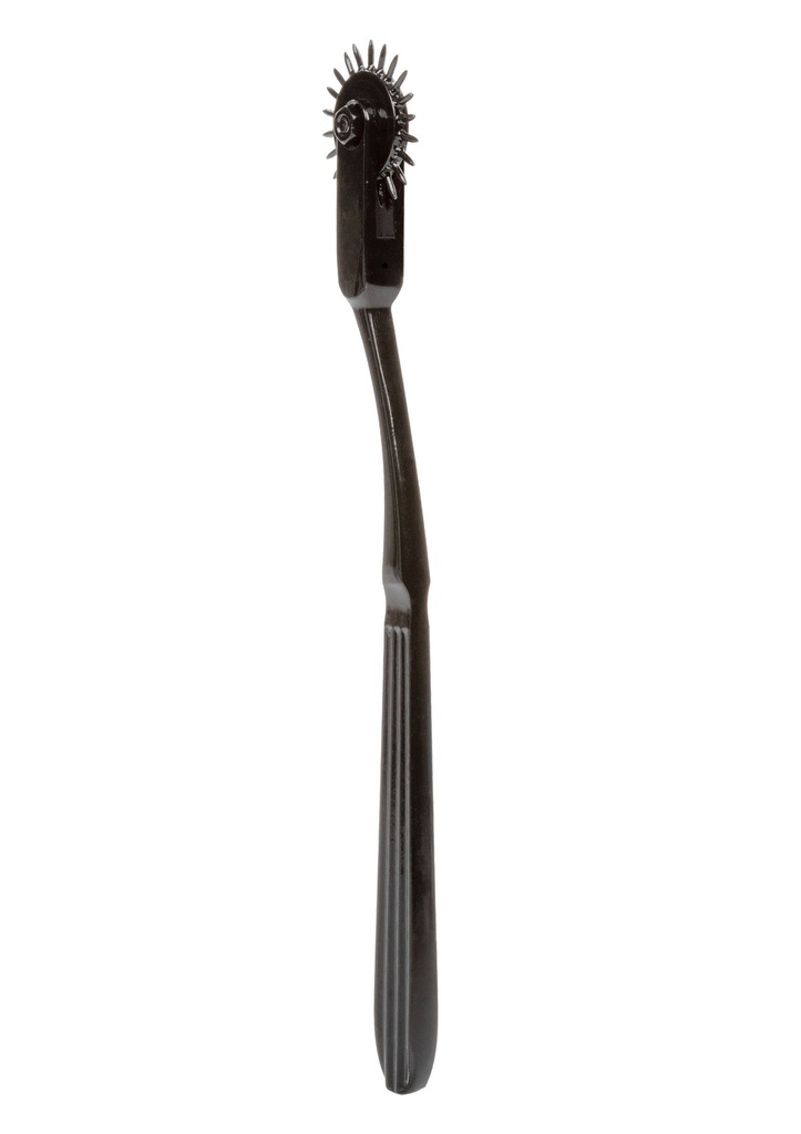 [14222-BLACK] Boundless Pleasure Wheel
