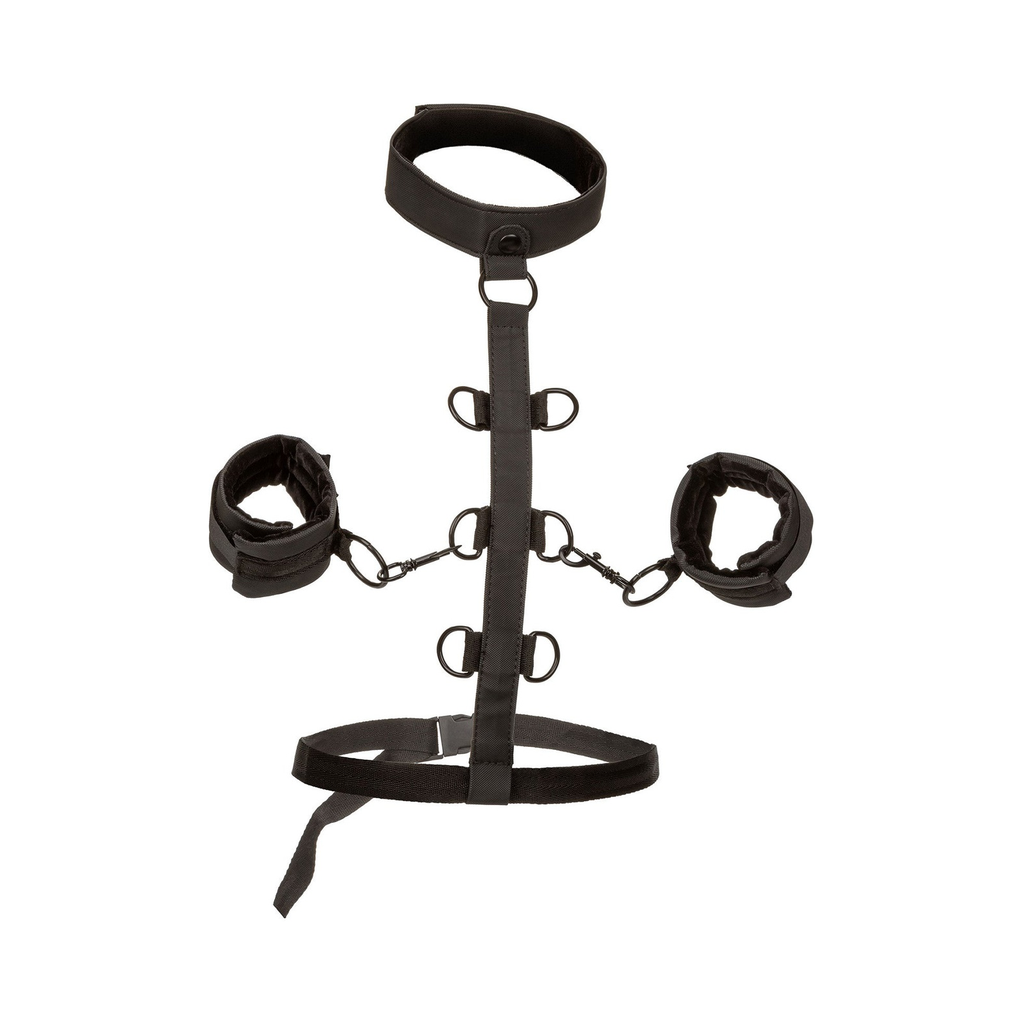 [14228-BLACK] CalExotics Boundless Collar Restraint