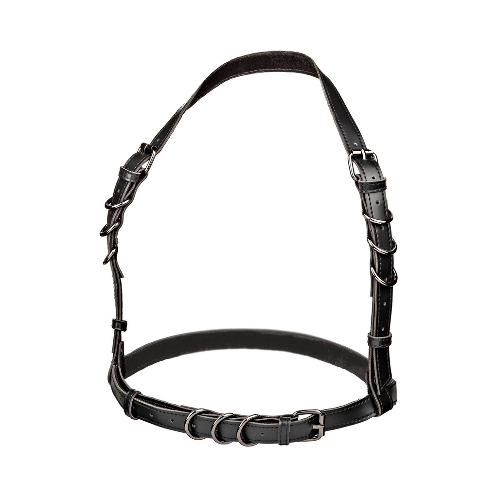[16703-BLACK] CalExotics Halter Buckle Harness Plus