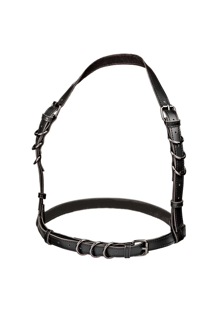 [16703-BLACK] Halter Buckle Harness Plus