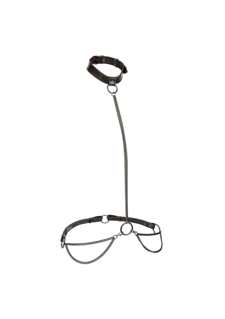 [16772-BLACK] Chain Halter & Collar Plus