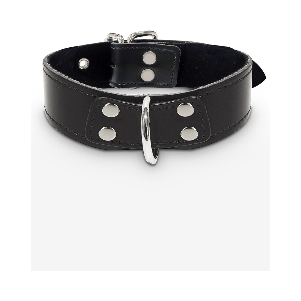 [17102-BLACK] Taboom Elegant D-Ring Collar