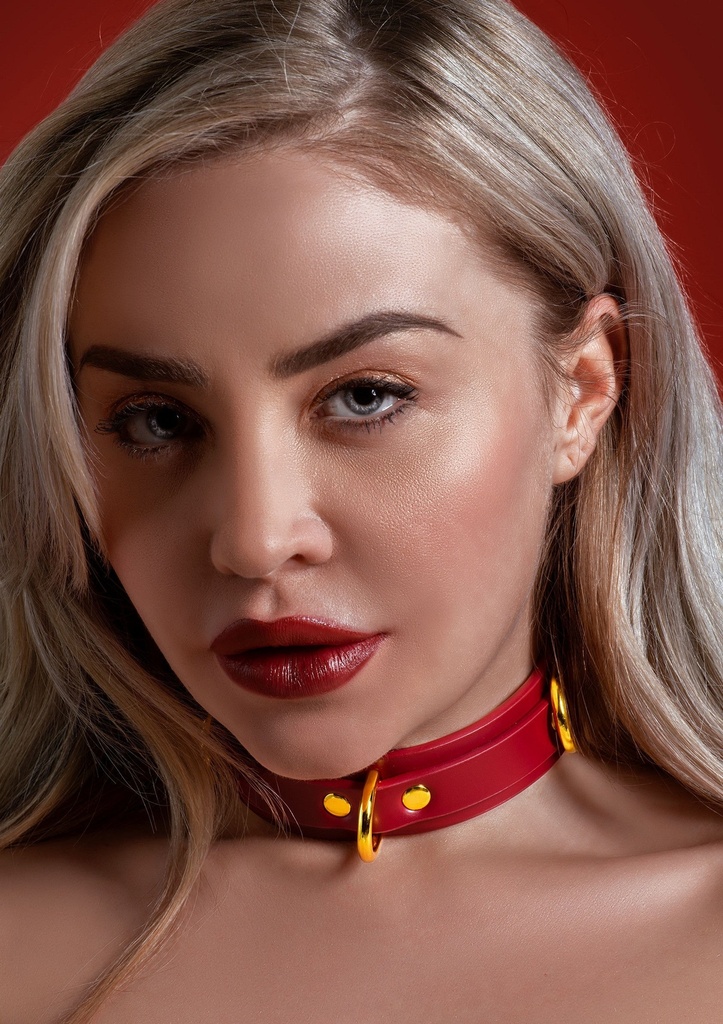 [17153-RED] D-Ring Collar Deluxe