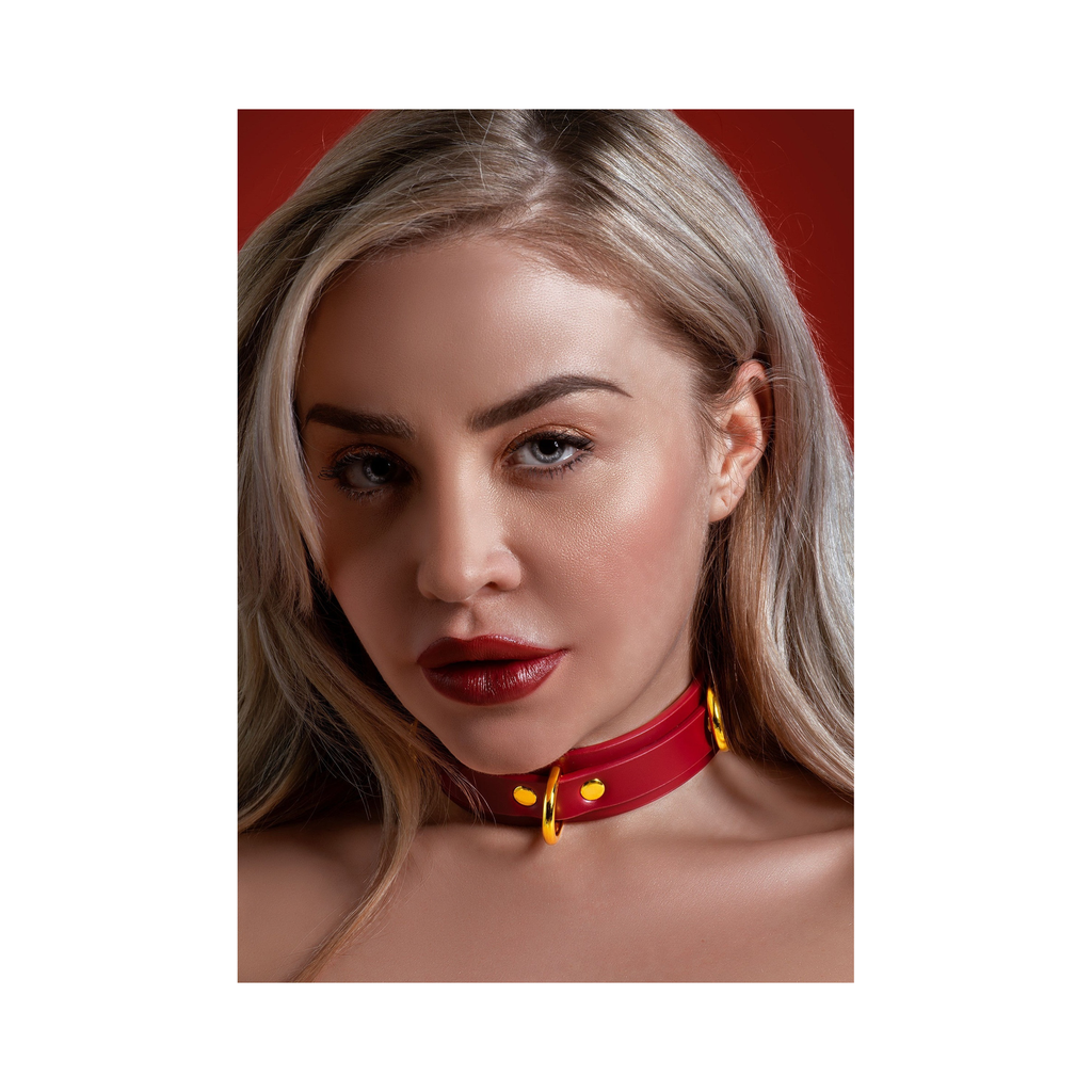 [17153-RED] Taboom D-Ring Collar Deluxe
