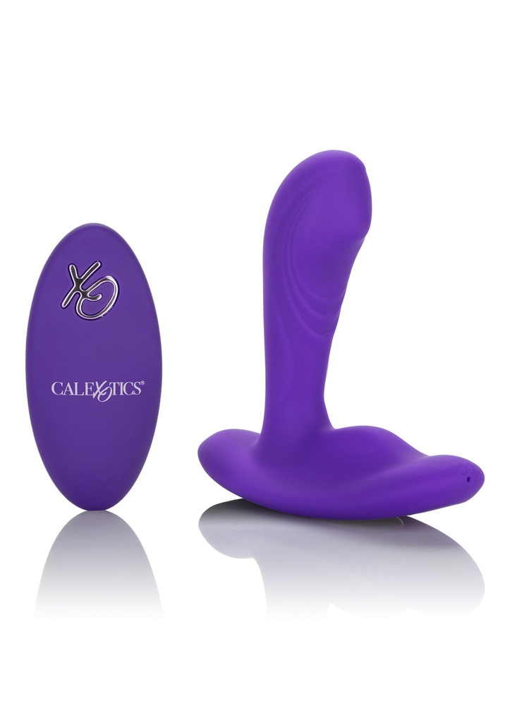 [12067-PURPLE] Remote Pinpoint Pleaser