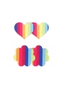 Pasties Heart & Flower 2 Pair
