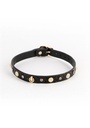 Alina Collar