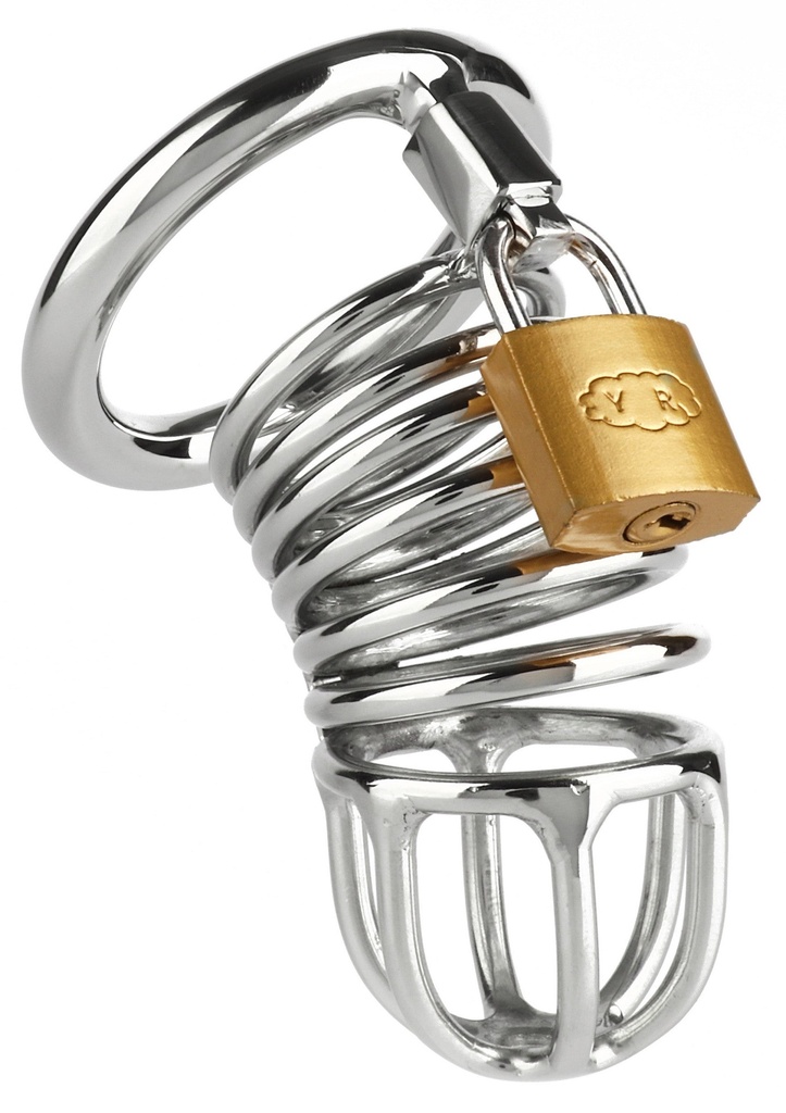 [38345-SILVER] Ring Master Chastity Device